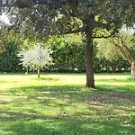 Magnolia Tatil Evi Grosseto