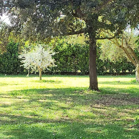 Magnolia Сasa de vacaciones Grosseto