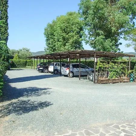 Magnolia Grosseto